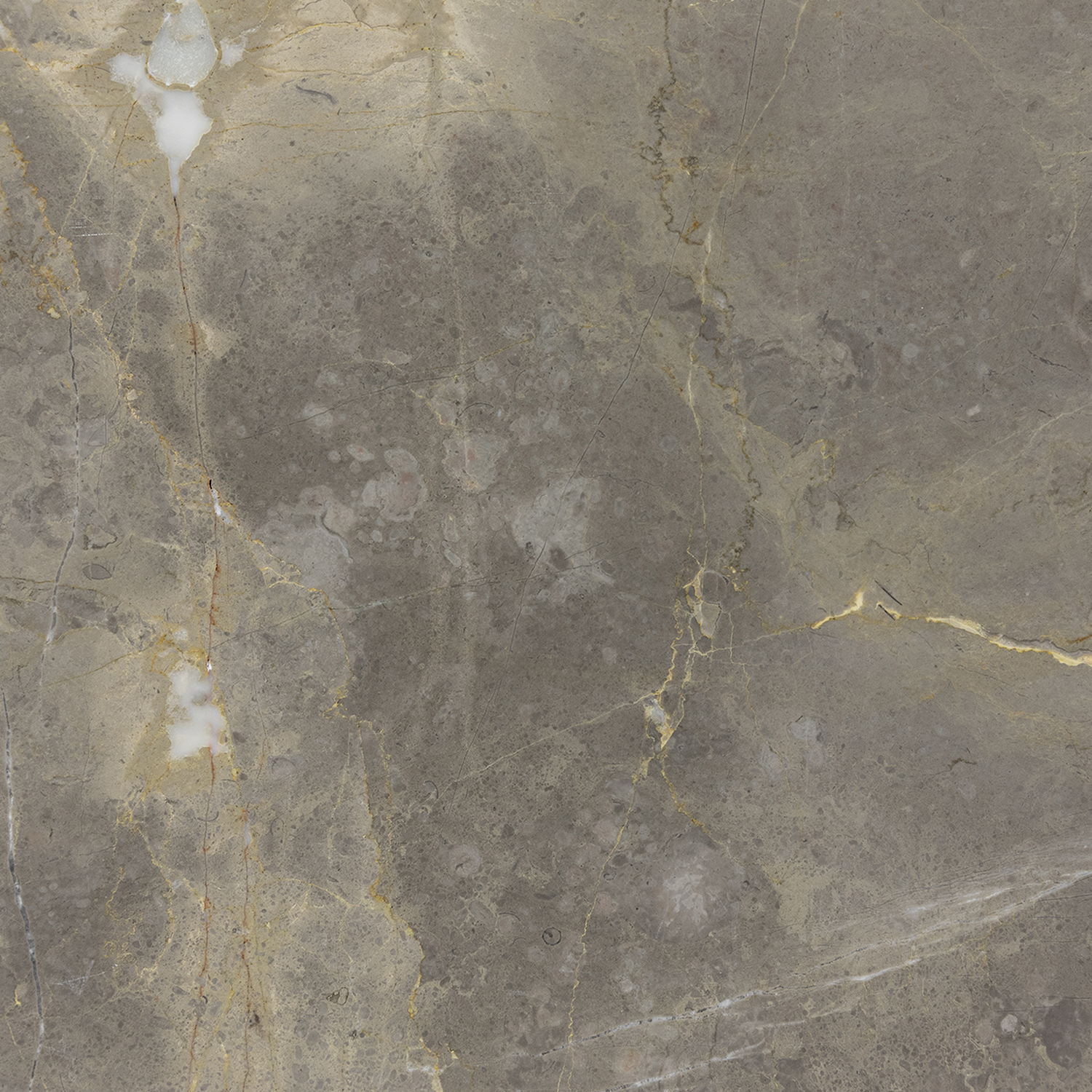 528 marmo grigio roma