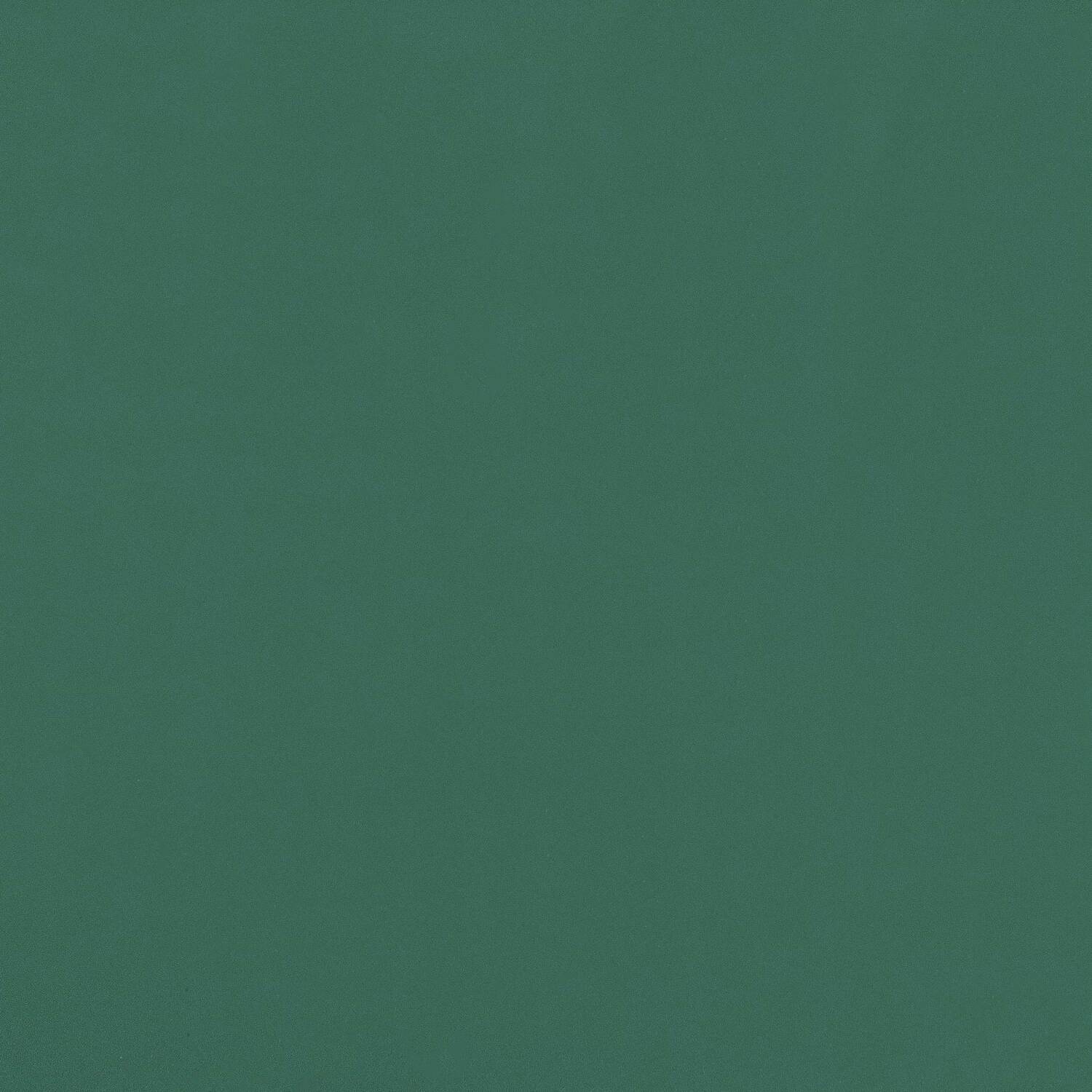 14 Verde Prato Ral6000