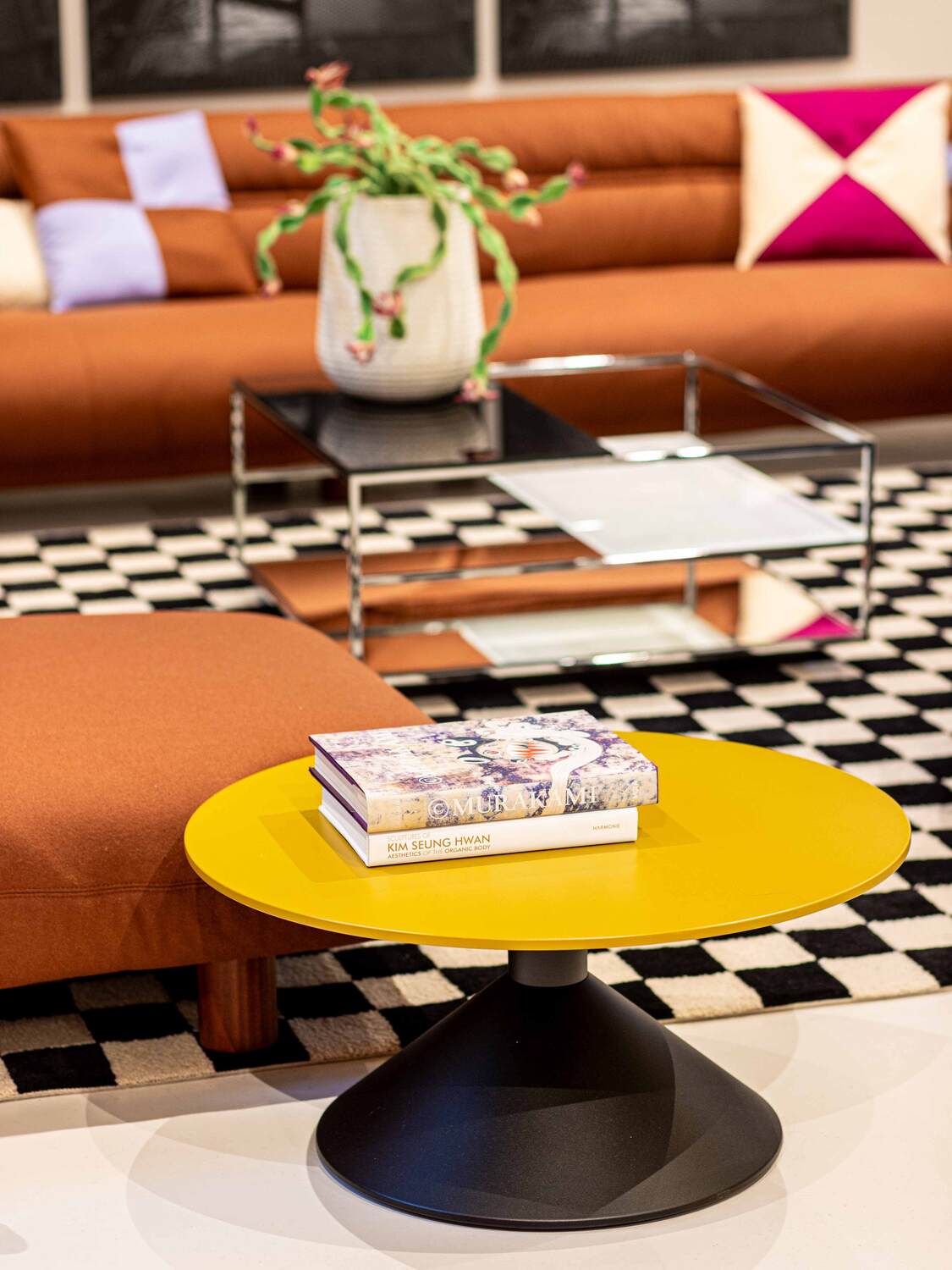 12 experience cappellini